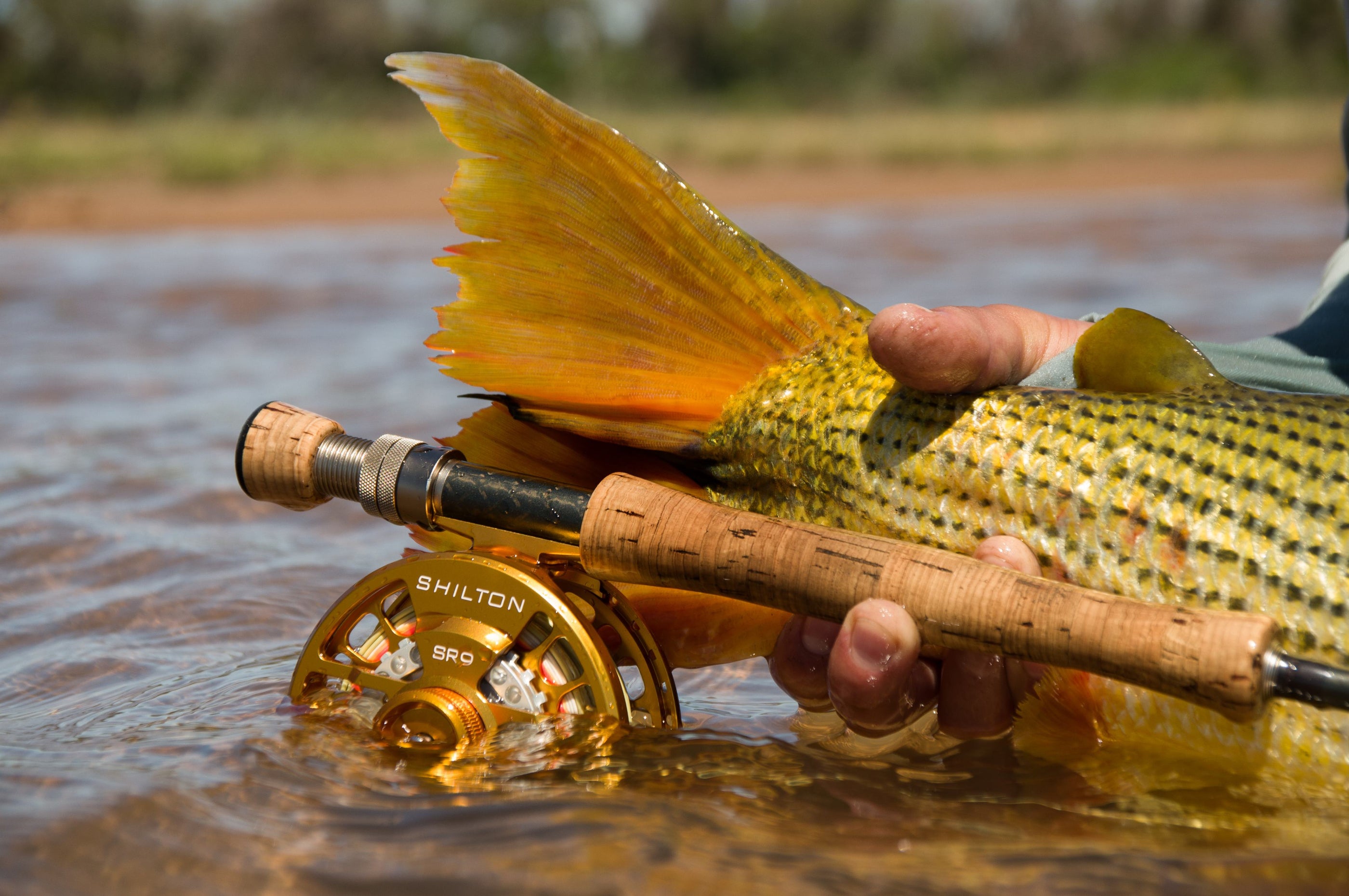 Shilton Reels SR9 Fly Reel